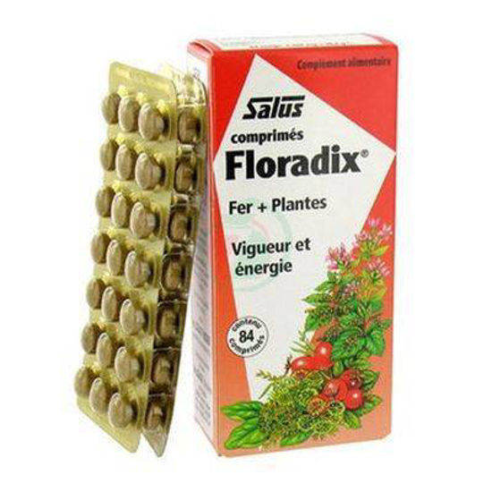 Floradix, 84 tablet