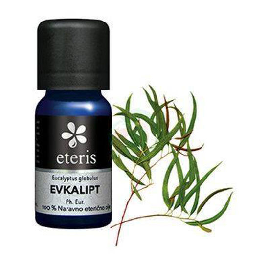 Eteris eterično olje evkalipt, 10 mL