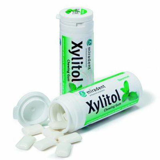 Xylitol varovalni žvečilni gumi s 100 % xylitola z okusom sperminta, 30 žvečilnih gumijev