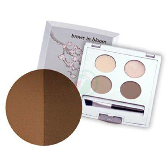 Anastasia Brunette mini paleta za obrvi