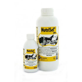 Slika Nutrisel Plus aminokislinsko vitaminski dodatek za vse vrste živali, 250 mL