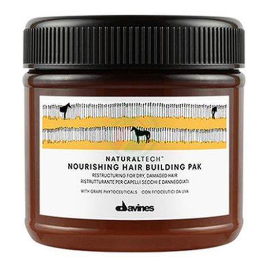 Davines Nourishing Hair Building Pak - hranljiva obloga za suhe in poškodovane lase, 250 mL