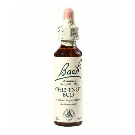 Bach Popek divjega kostanja bachova esenca v kapljicah, 20 mL