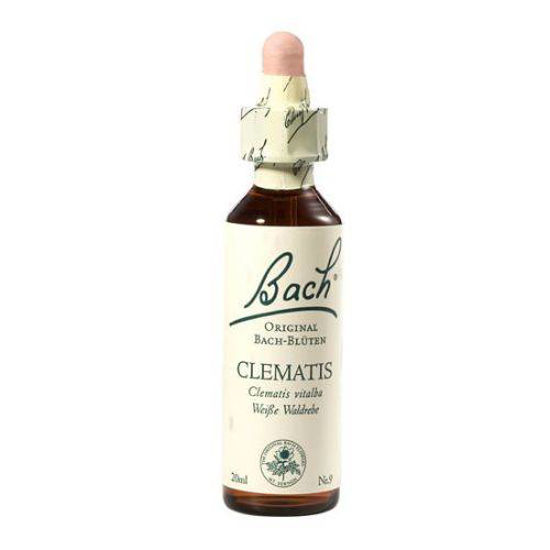 Bach Clematis Srobot bachova esenca v kapljicah, 20 mL