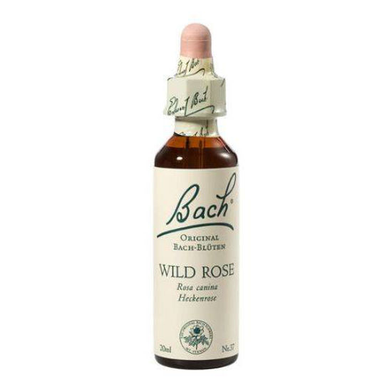 Bach Šipek bachova esenca v kapljicah, 20 mL