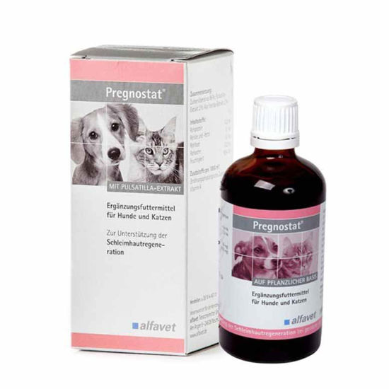 Pregnostat sirup za pse in mačke, 100 mL