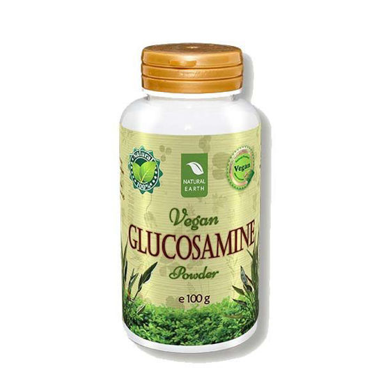 Natural Earth Glukozamin - veganski v prahu, 100 g