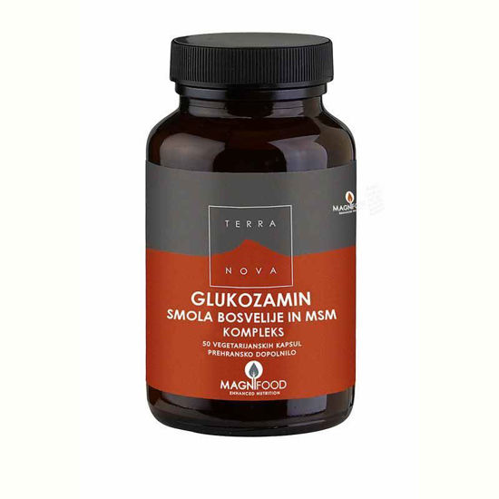 TerraNova glukozamin, smola bosvelije in MSM, 50 kapsul