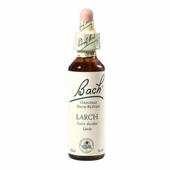 Bach Macesen (Larch) esenca kapljice, 20 mL