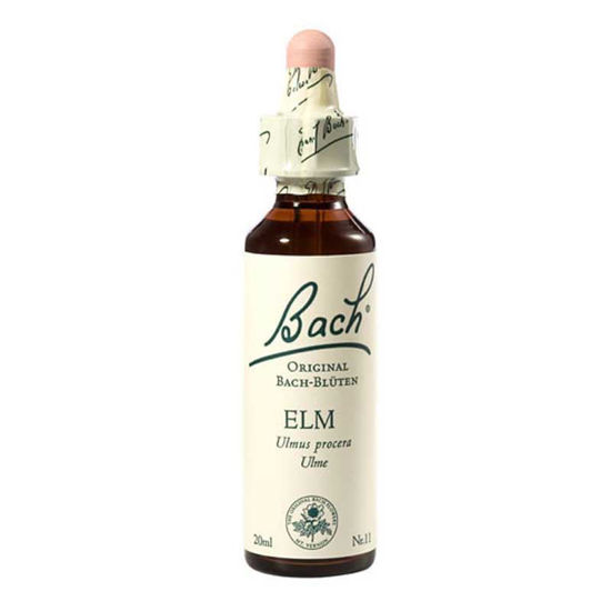 Bach Elm brest bachove kapljice, 20 mL
