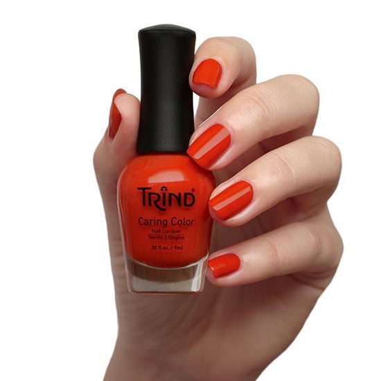 Odtenek: Pumpkin Spice CC270