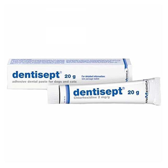 Dentihex pasta za dlesni mačk in psov, 20 g