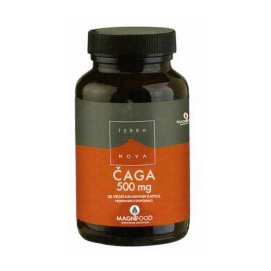 TerraNova čaga 500 mg, 50 vegetarijanskih kapsul