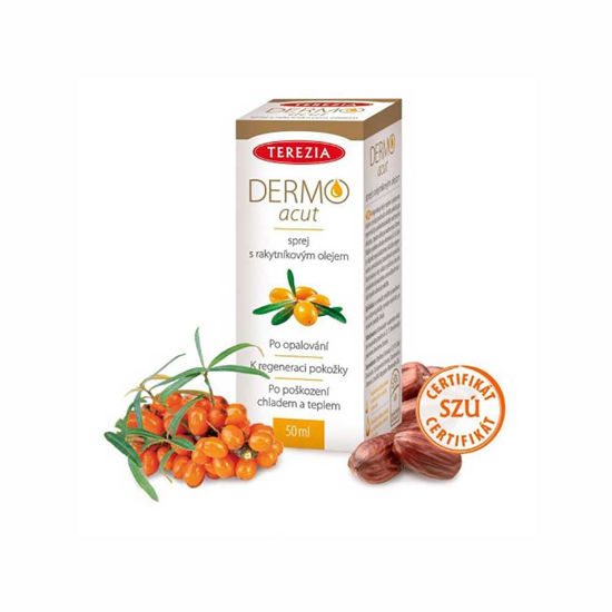 Dermo Acut sprej za dermalno regeneracijo, 50 mL