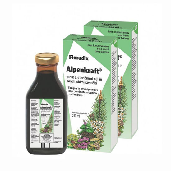 Alpenkraft Floradix medeni tonik, 2x250 mL