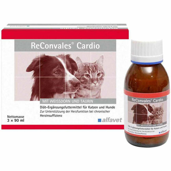 Reconvales Cardio sirup za mačke in manjše pse, 3 x 90 mL