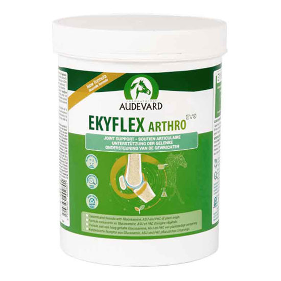 Ekyflex Arthro Evo Laud, 900 g