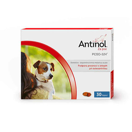Antinol za pse, 30 ali 60 kapsul