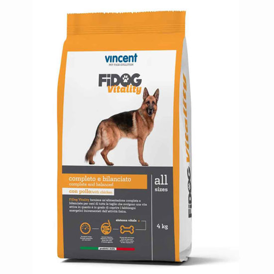 Vincent Fidog Vitality za aktivne odrasle pse, 4 ali 20 kg