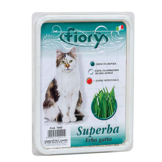 Fiory Superba mačja trava seme, 1 pakiranje