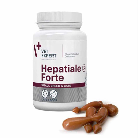 Hepatiale Forte za mačke in majhne pse
