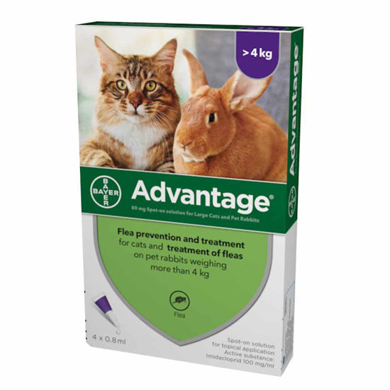 Advantage 80 kožne kapljice za mačke in hišne zajčke - nad >4 kg, 4 x 0.8 mL
