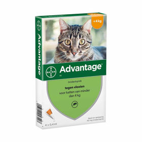 Advantage 40 kožne kapljice, kapljice za male pse, mačke in hišne zajčke