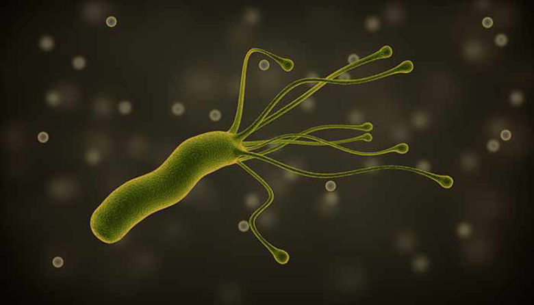 Picture of HELICOBACTER PYLORI: bakterijska okužba - vzroki in zdravljenje