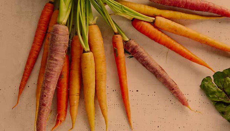 Picture of Vitamin A - funkcije, dnevni vnos, glavni viri in pomanjkanje