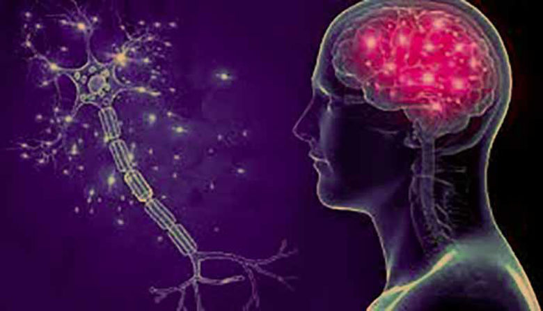 Picture of EPILEPSIJA - resnica o epileptičnih napadih!