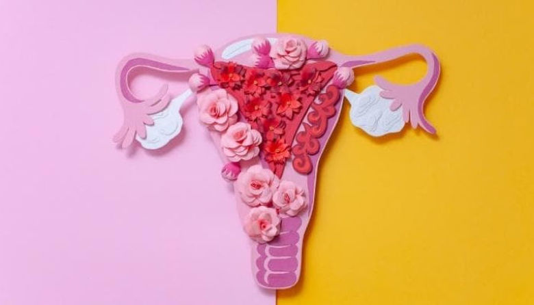 Picture of Endometrioza jajčnika