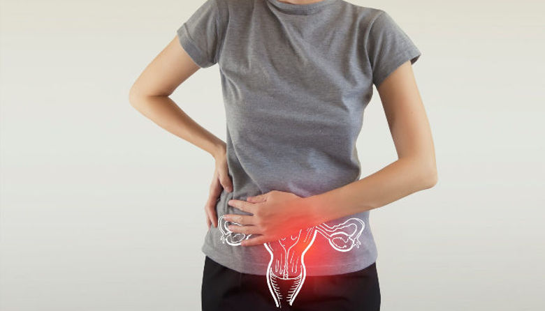 Picture of Endometrij