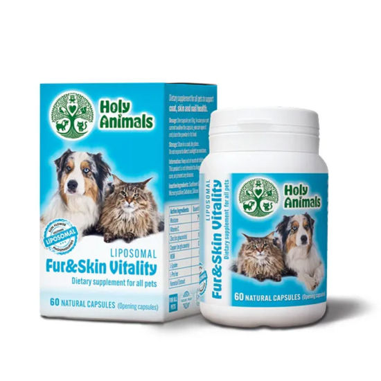 Holy Animals Fur & Skin Vitality