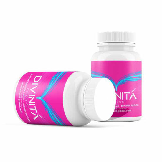 Divinita Original prebiotik + rjave morske alge, 60 kapsul