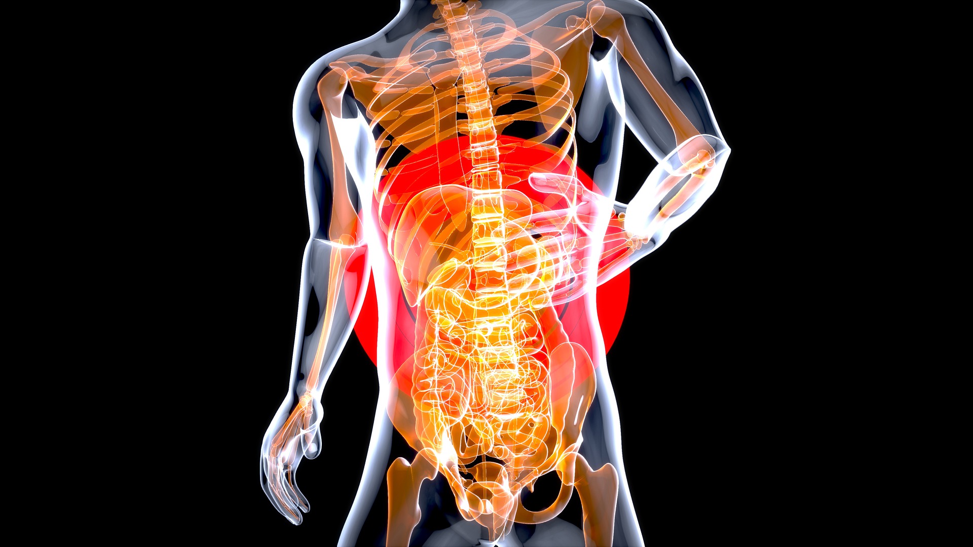 stomach